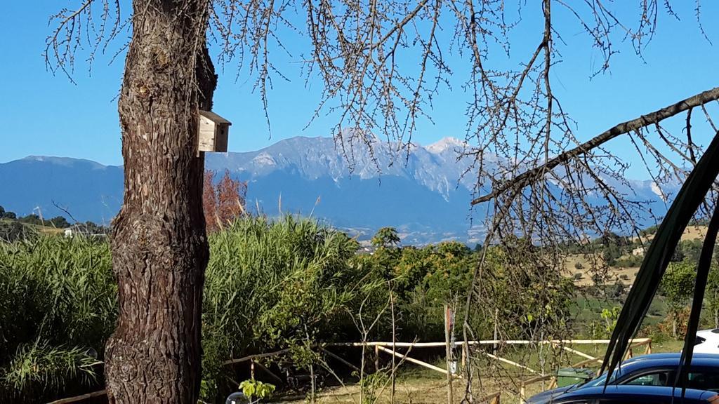 B&B L'Albero Di Antonia Atri Eksteriør billede