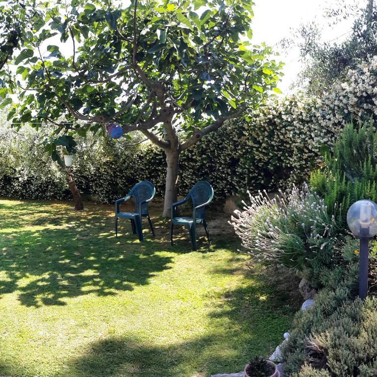B&B L'Albero Di Antonia Atri Eksteriør billede